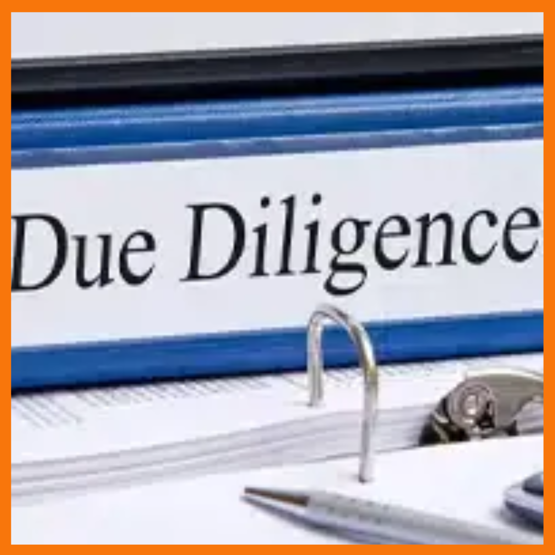 Due Diligence Investigations